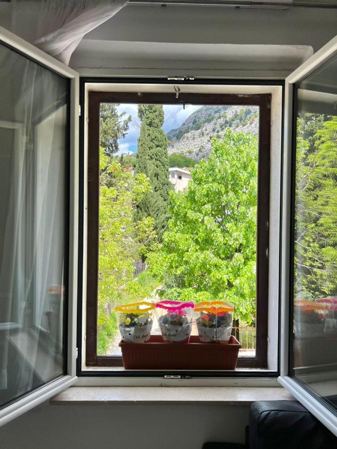 Apartment Kiki Kotor Buitenkant foto